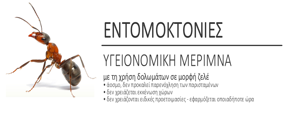 Αποντομώσεις